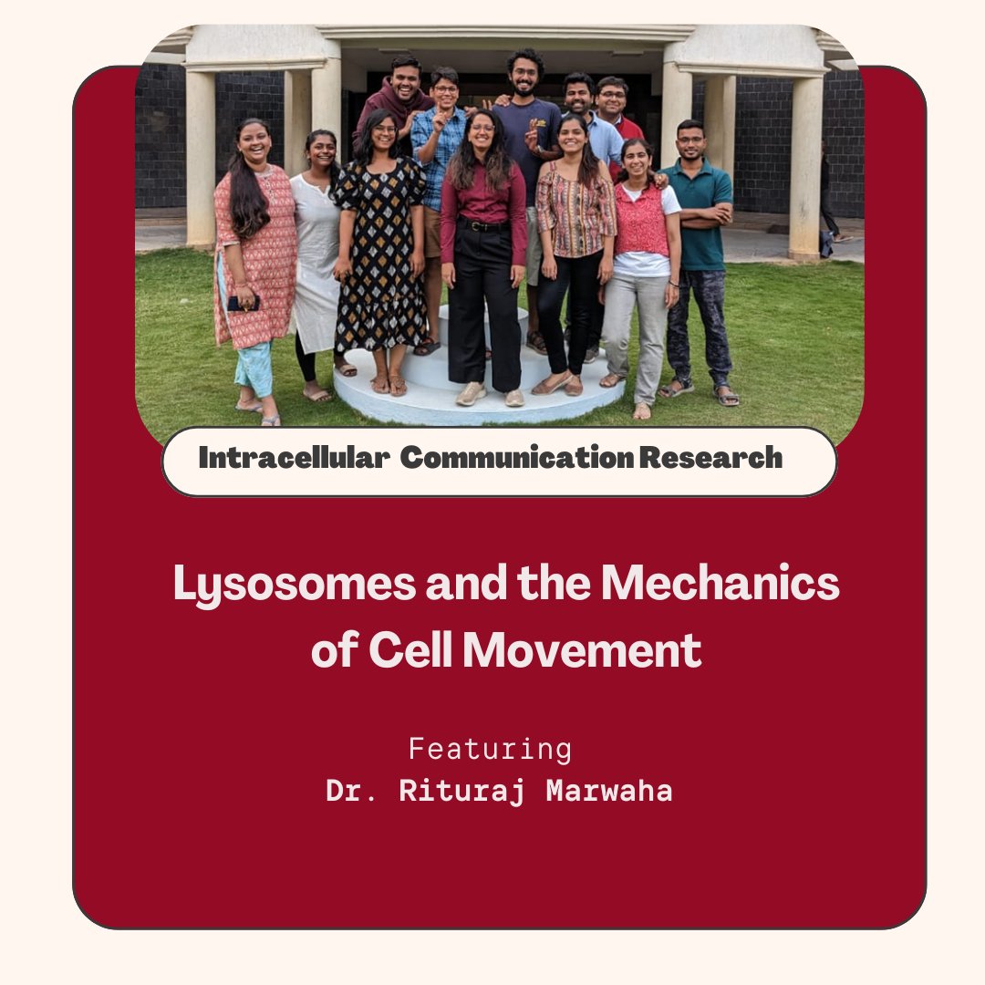 India_Alliance's tweet photo. This week in our #IntracellularCommunication series, we feature Dr. @marwaha_rr.

An IA Early Career Fellow, she studies how lysosomes sense mechanical cues to guide collective cell movement during tissue repair and development.

Read more here: https://t.co/0crCRKhlbp https://t.co/tSwzSyhb6t