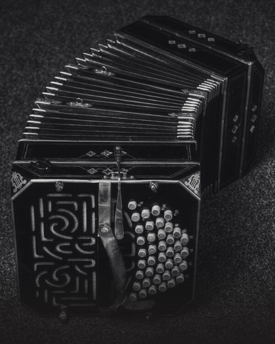 𝑽𝒆 🪭 tweet media