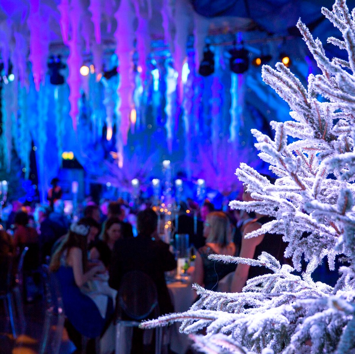 AVMatrix1's tweet image. 🎉 Planning a festive celebration to remember? Let us take care of all your #AudioVisual needs; from lighting and sound to LED screens and effects, so you can focus on the fun and wow your guests!💫

Make this year’s party unforgettable.🥂

🌐 av-matrix.com

#eventprofs