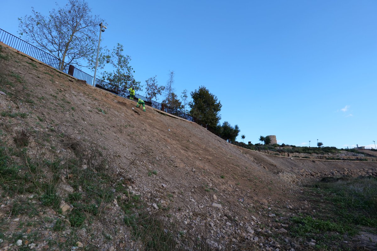 Jardines de Cartagena tweet media