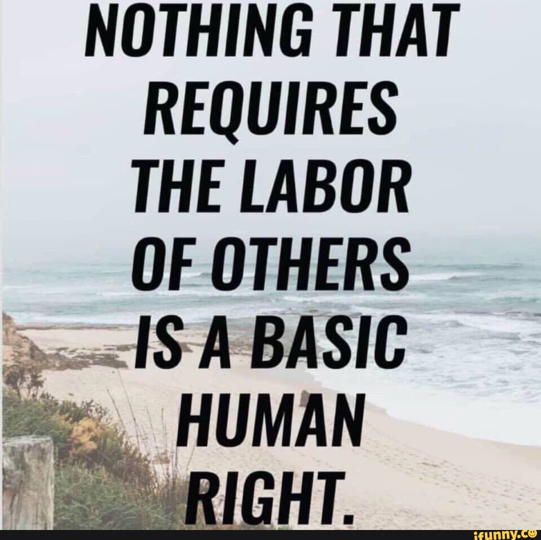 noreply369's tweet image. 