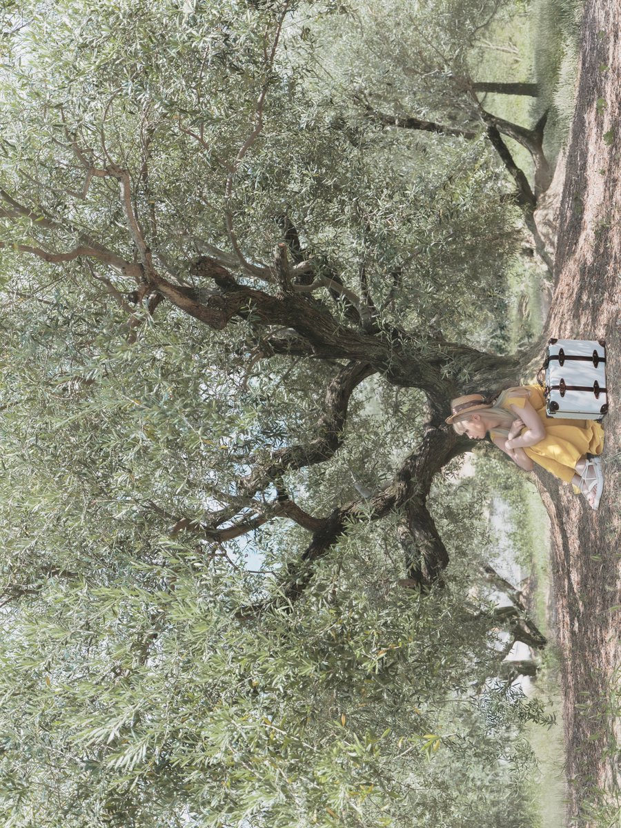 ZカズミRS (@Z1kS8n) / Posts / X