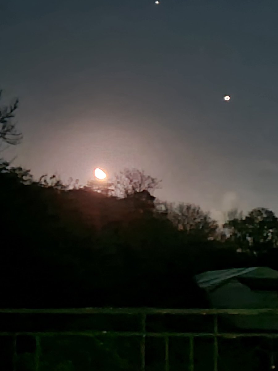 thevicarswife's tweet image. In London for a meeting, and stayed at my mum's for a visit beforehand. Went outside to take pics of last night's lemon slice moon and squelched in some mud because it was too dark to see. Cleaning my DMs afterwards I discovered a terrible tragedy. #RIPDMs