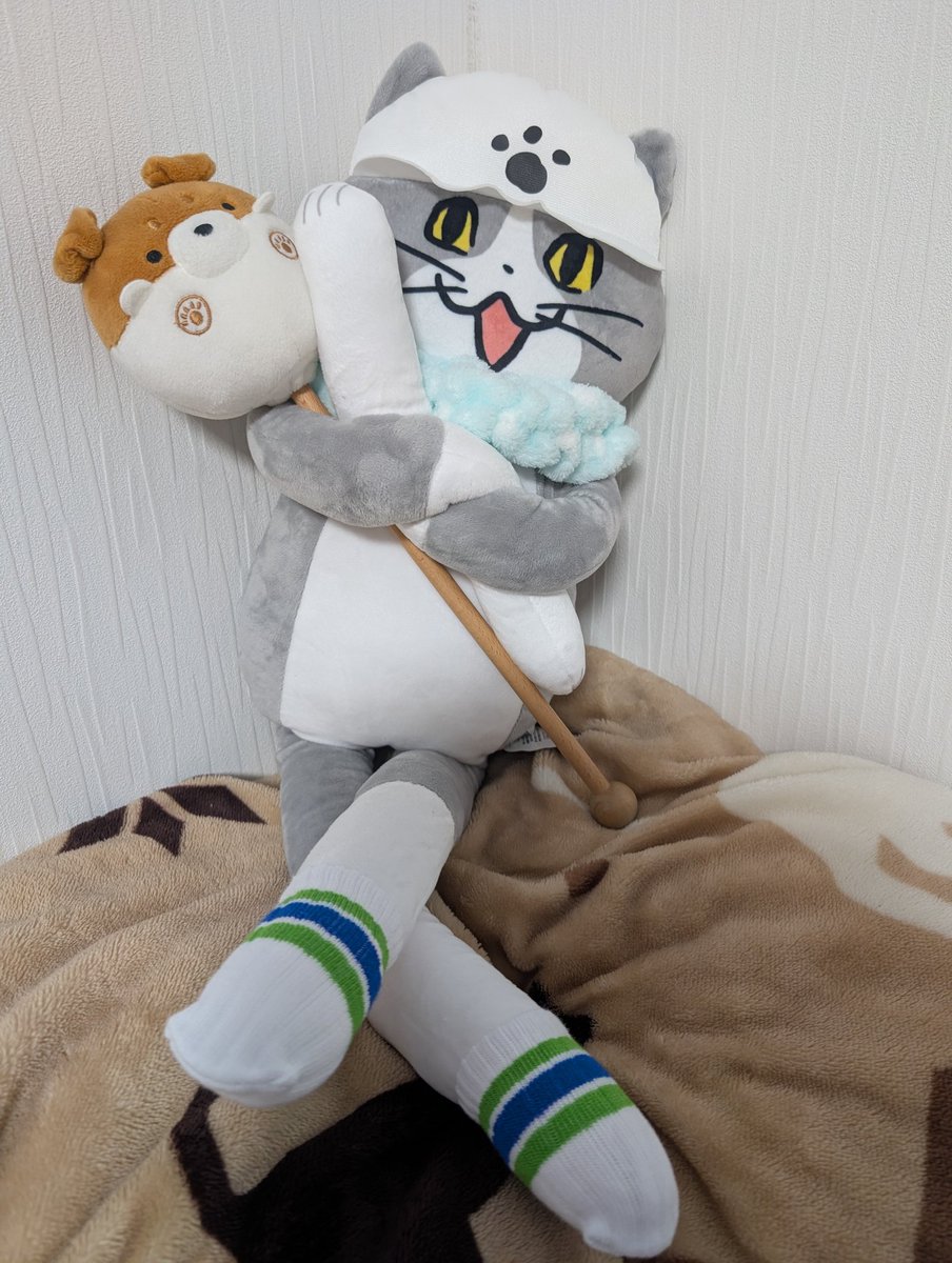 事務猫姉さん tweet media