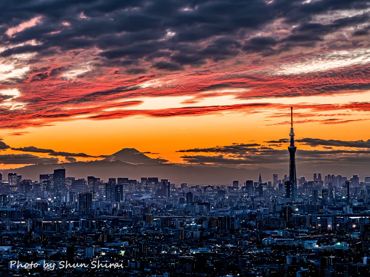 ShunShirai@市川松戸の街かどフォトグラファー✨11/8朝 NHK・おはよう