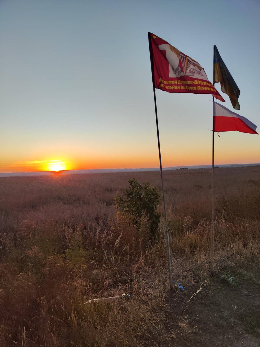 emsi_eman's tweet photo. Dzień niepodległości, to dzień wyjątkowy. Szczególnie dla 🇺🇦🪖, którzy za wolność, niepodległość przelewają codziennie swoją krew 🩸... 
 🇵🇱 Flagi są nie tylko w naszym kraju, są w całym Donbasie, Chersoniu, Odessie, na samym froncie 🦾🐝
#independenceday2025🇵🇱
#WildBees #NAFO https://t.co/BVesk0Ix73