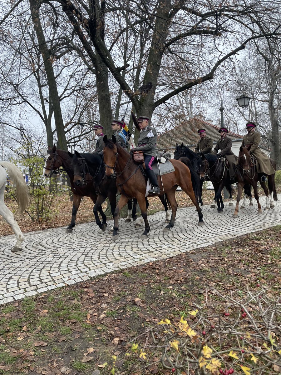 A przed nimi drzewa salutuja