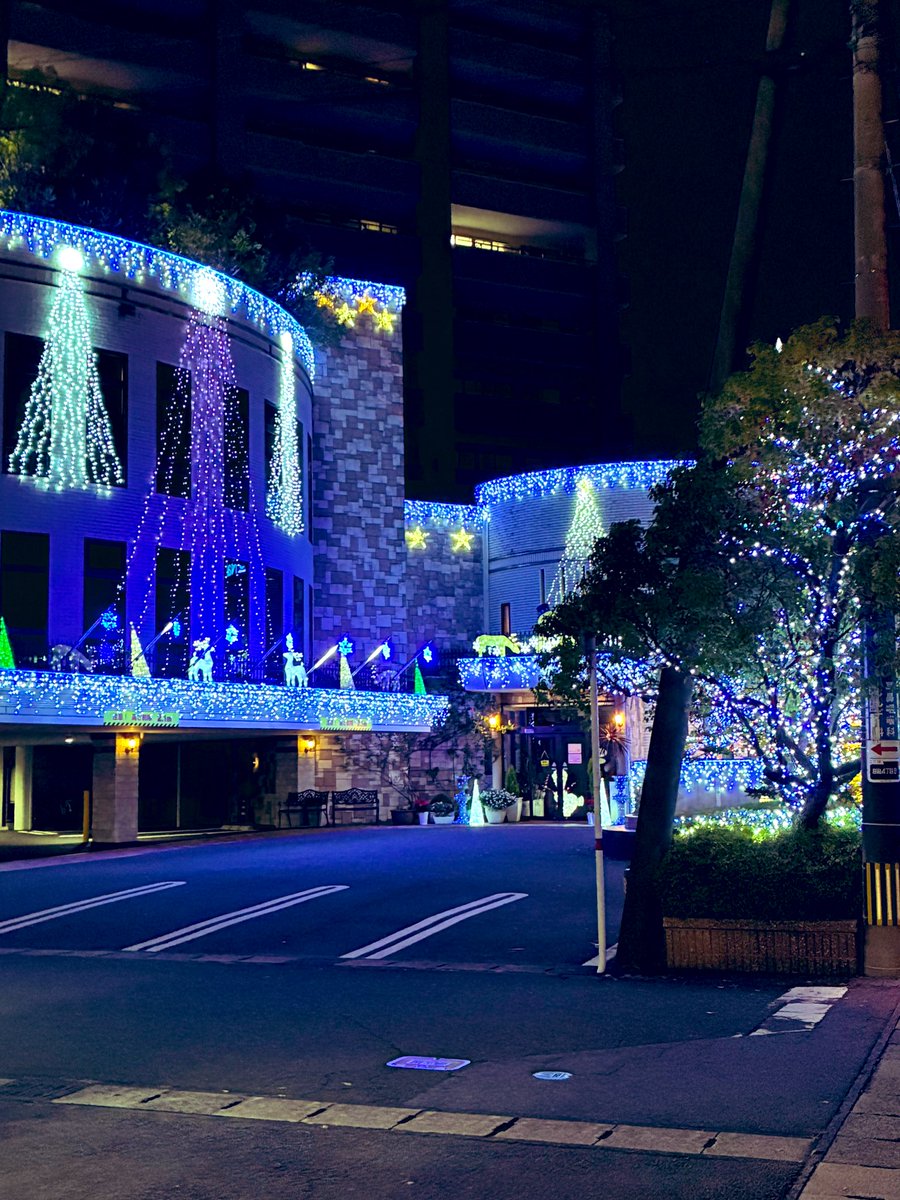 kuma_counselor's tweet photo. 🎄早すぎる…
今年初イルミ、ついに発見。
季節、もう走り出してた。
#熊本 #イルミネーション https://t.co/cizCay9YZE