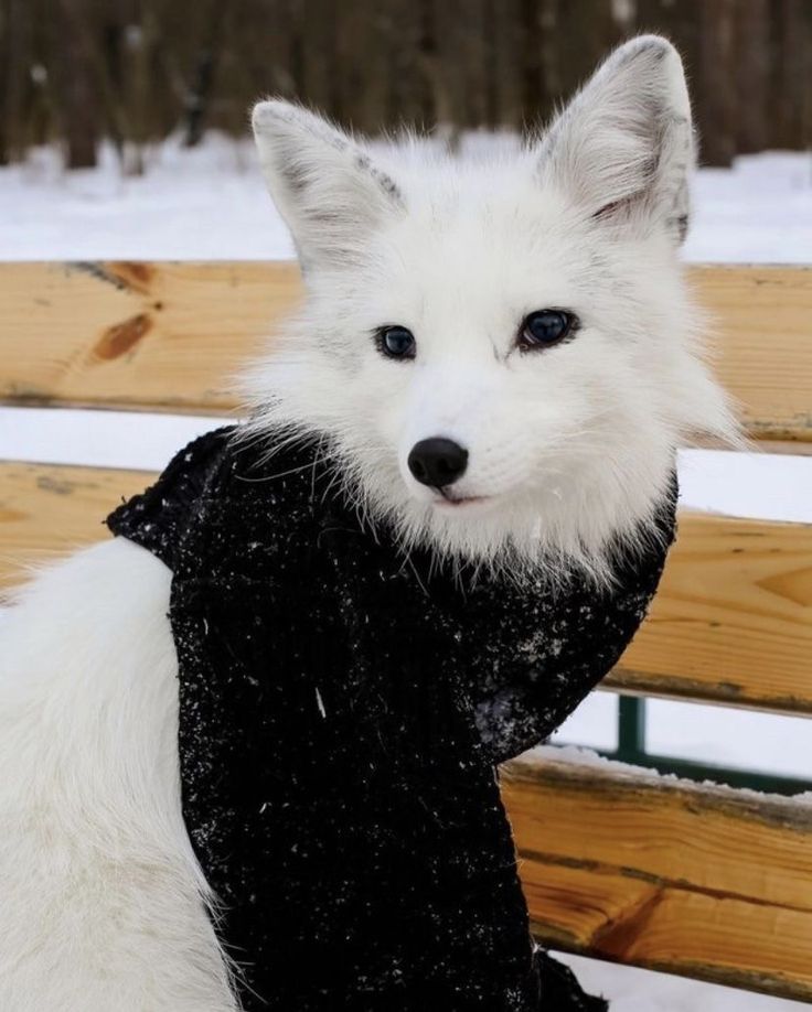 ogXsomi's tweet image. 🫰