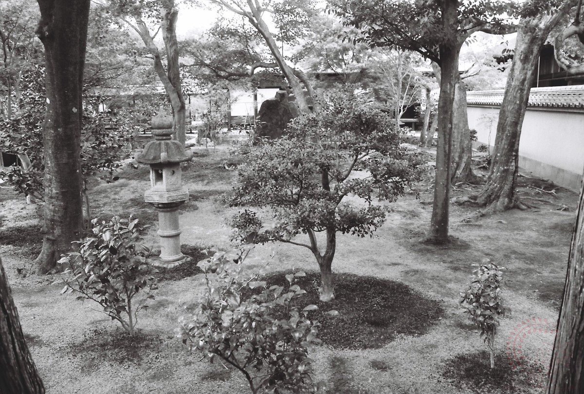 Nyagon (negative film photography lover) on X