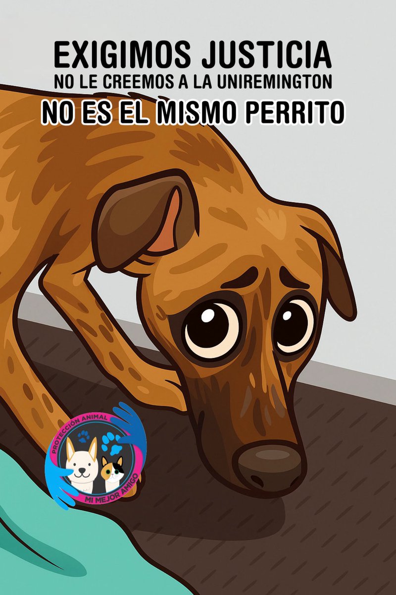 AsociacionMi's tweet image. Aún no hemos podido ver el video, y no lo haremos por salud mental. Nos genera muchísima tristeza. Infortunadamente, este no es un caso aislado en el campo. Si bien es cierto que hay muchos campesinos maravillosos con los animales, la mayoría no lo son. Por otro lado, no creemos…