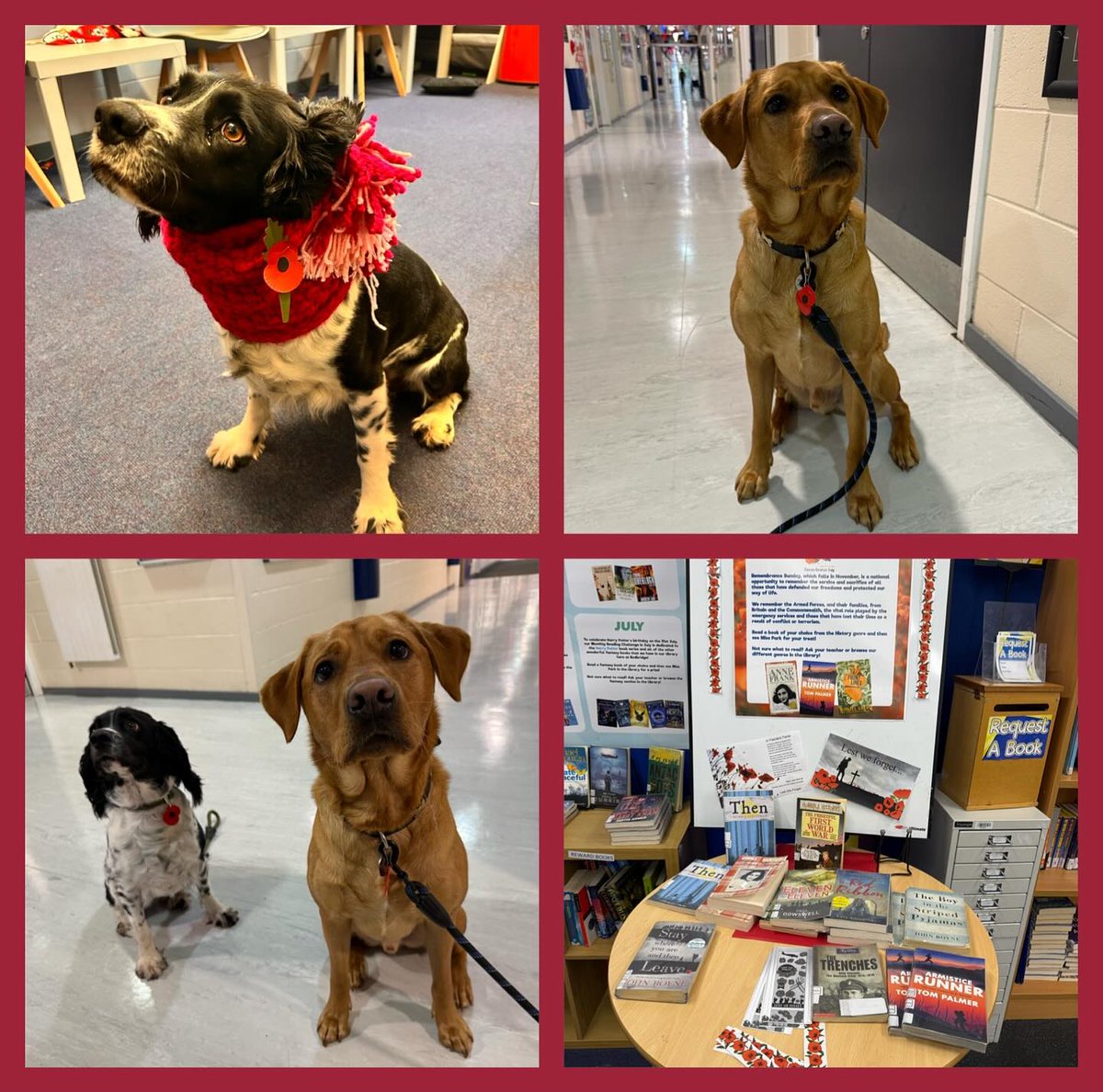 RedbridgeCS's tweet image. At Redbridge Community School, we join the nation in remembering those who gave their lives for our freedom.
We are thinking of all affected, past and present, and supporting our community today and every day. 📷
#Redbridge #RemembranceDay #LestWeForget