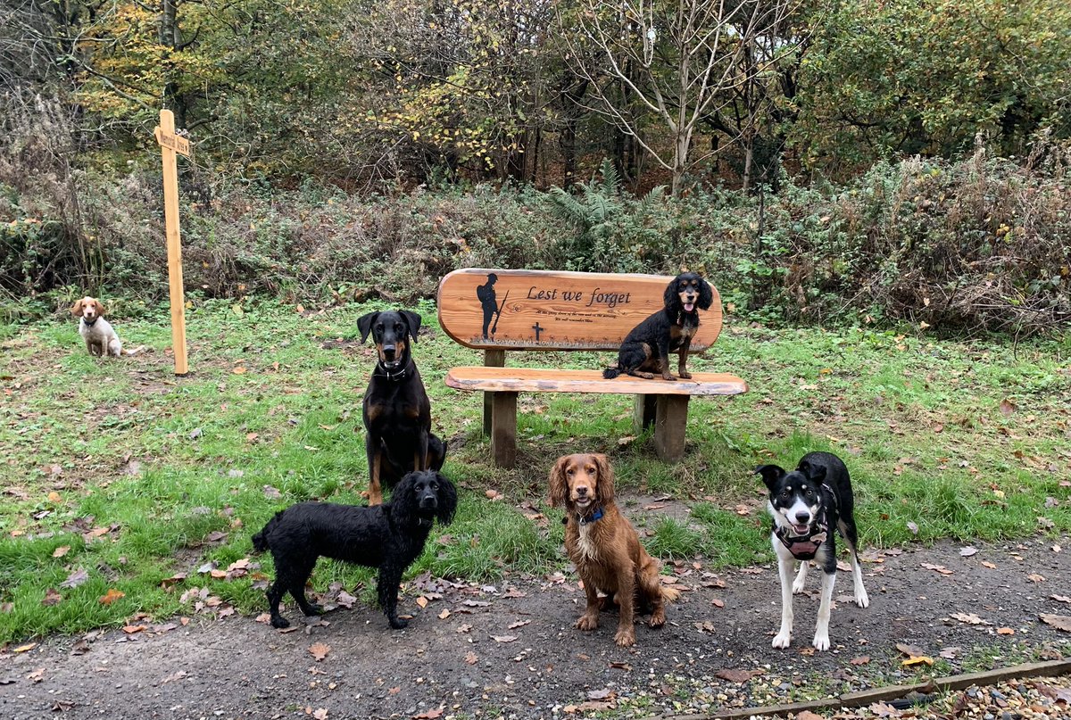 Rustically's tweet image. 