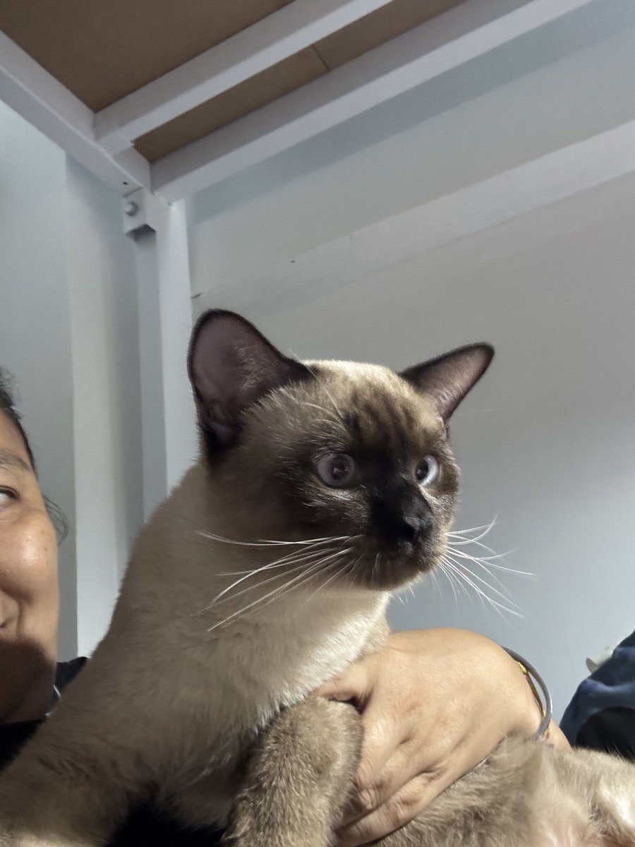 KateKhagi's tweet image. ไออเด็กหน้าไหม้คนนี้น่ารัก