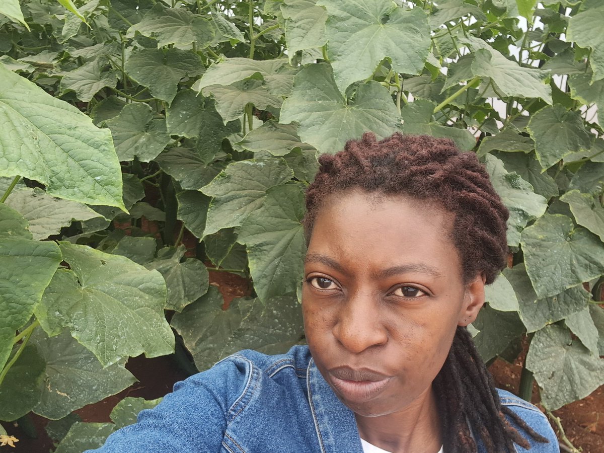 Cynthia Jera tweet media