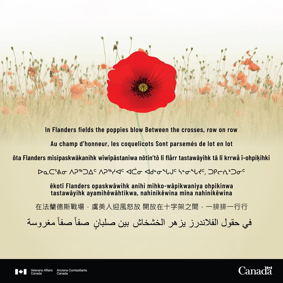 NeonTrain tweet media