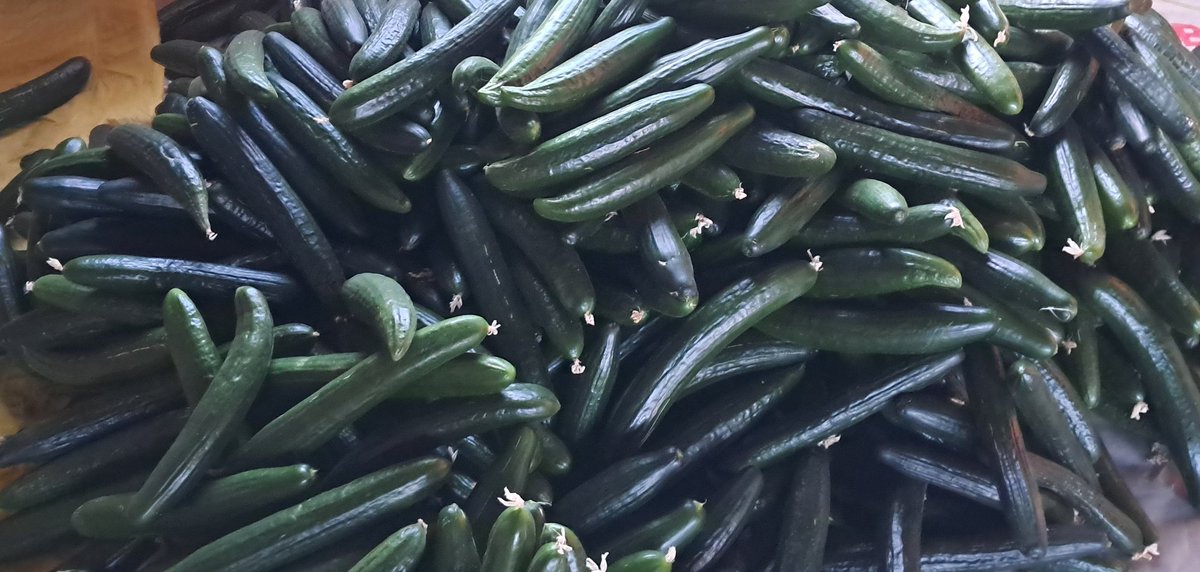 Cynthia Jera tweet media