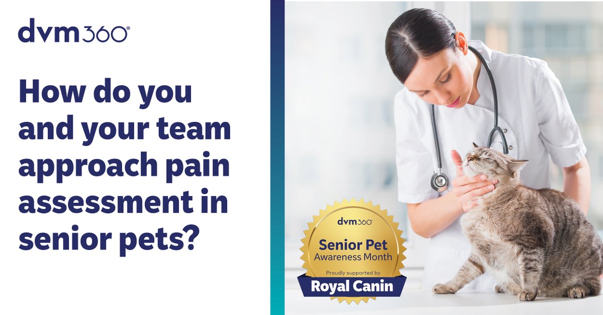 dvm360's tweet image. Up to 80% of older dogs and most cats over 12 show signs of joint changes, often before owners notice. How does your team approach pain assessment in senior pets? #Fetchdvm360 #VetMed #SeniorPetCare @RoyalCanin