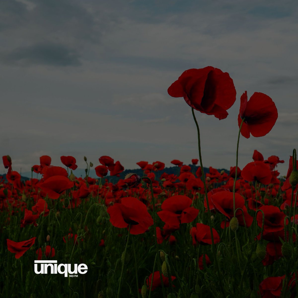 Unique FM 94,5 tweet media