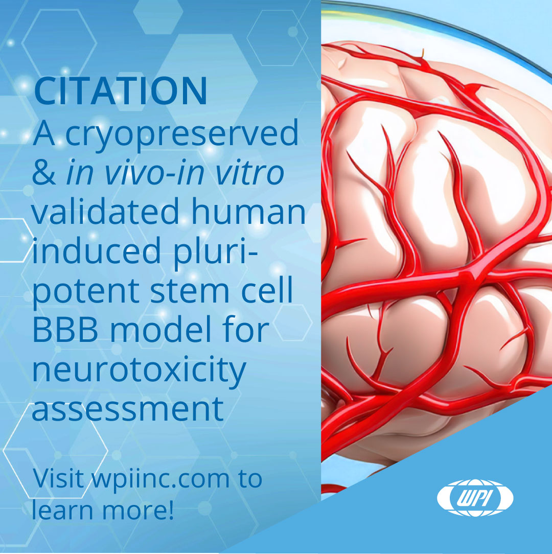 World Precision tweet media