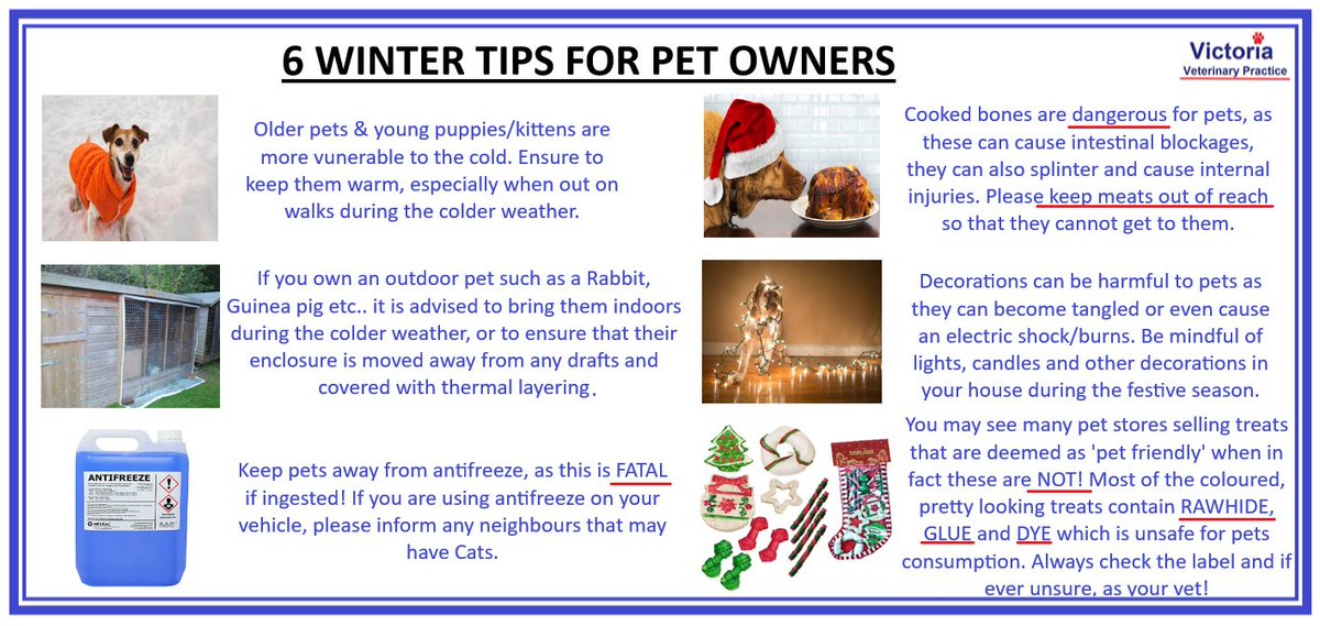 VictoriaVets_'s tweet image. As the #weather is getting much colder, here are a few tips to help keep your pets #happy &amp;amp; safe #during these #winter months ❄❄❄