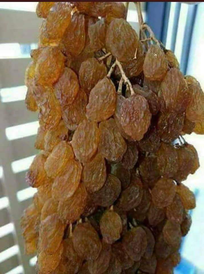 🍯FaBA🐝 फाबा tweet media