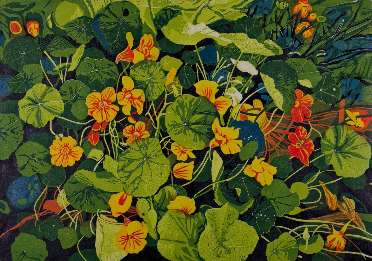 Indian Cress
Woodcut 
Teija Lehto  (Finnish artist)