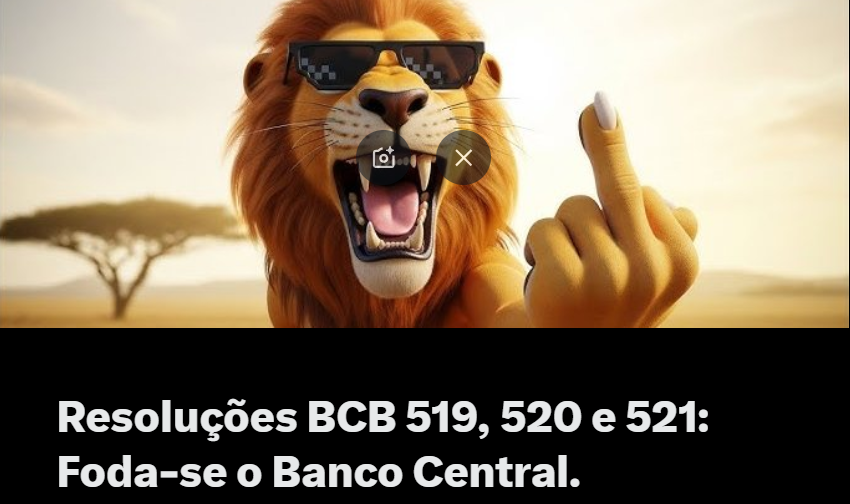 0xCokinha tweet media