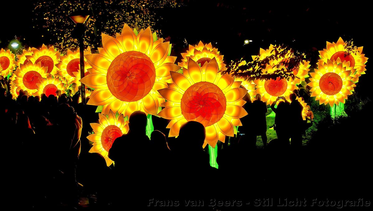 Frans -Stil Licht Fotografie tweet media