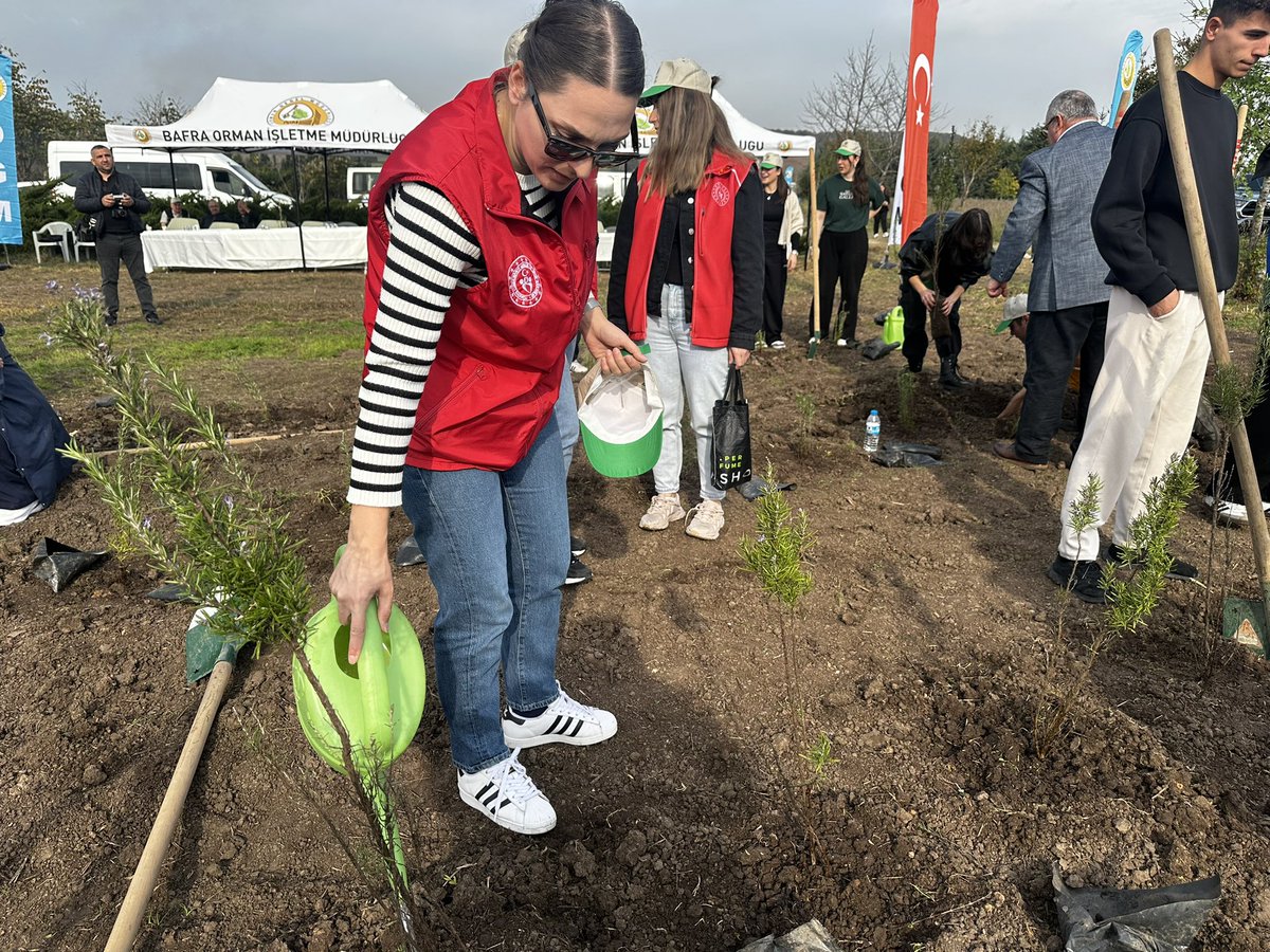 Gönüllü gençlerimizle 11 Kasım Milli Ağaçlandırma günü fidan dikimi etkinliğimizden☘️
Her bir fidanı toprakla buluştururken, geleceğe umut, doğaya nefes verdik.
#milliağaçlandırmagünü #gsbgm #bafragm