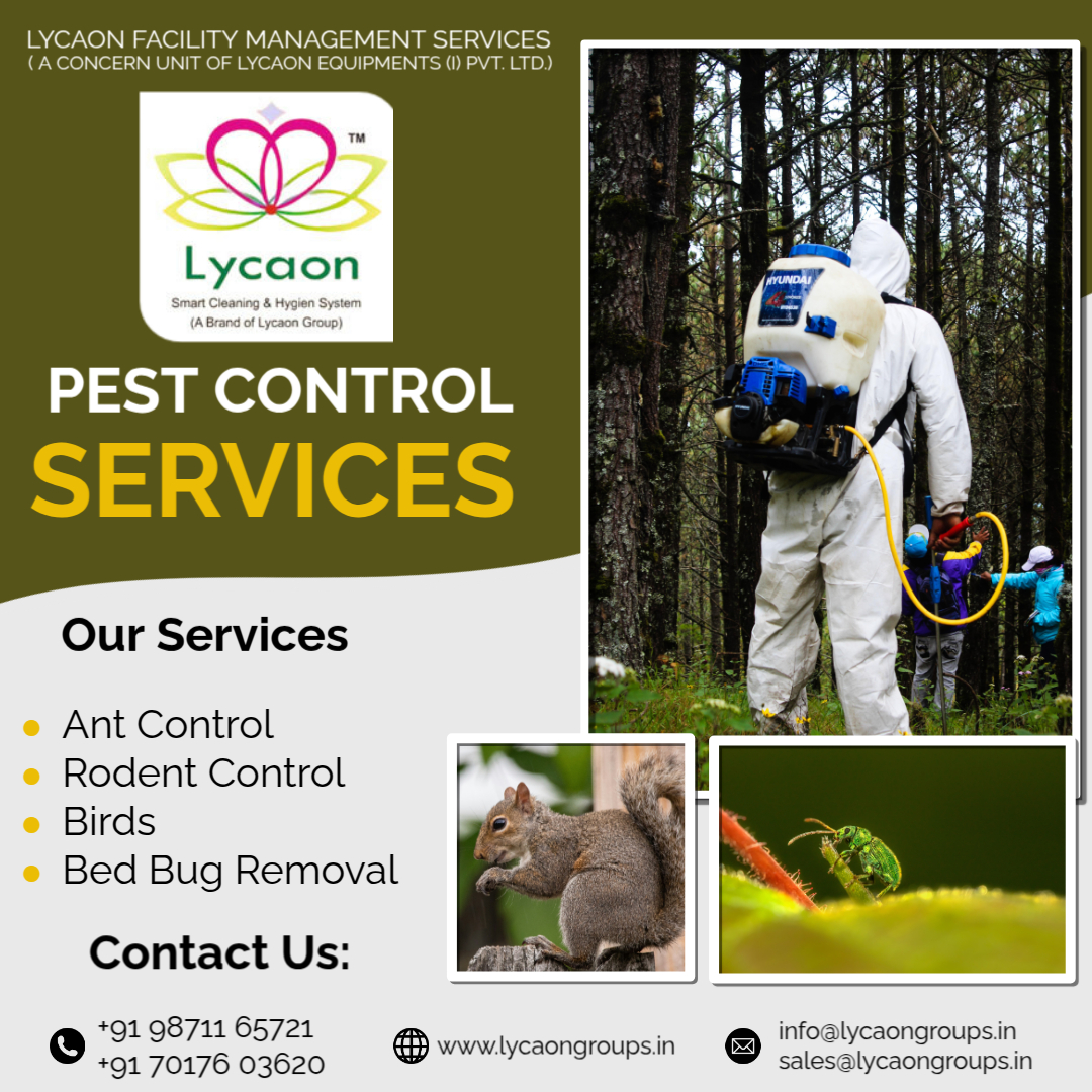 lycaongroups's tweet photo. Say goodbye to unwanted guests! Professional pest control solutions for homes and offices. Fast, safe, and effective. #SafeEnvironment #HomeProtection #PestManagement #InsectFree #HealthySpaces #NoPests #ExpertExterminators #CleanHome https://t.co/7W19Gaa3ve