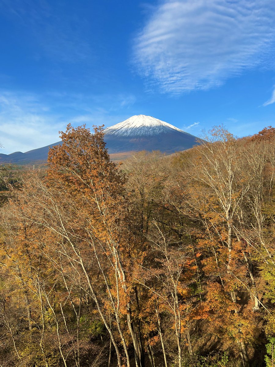 peter19880618's tweet photo. 心情瞬間就好了
#Gora #FUJI https://t.co/b5Rwocflxw