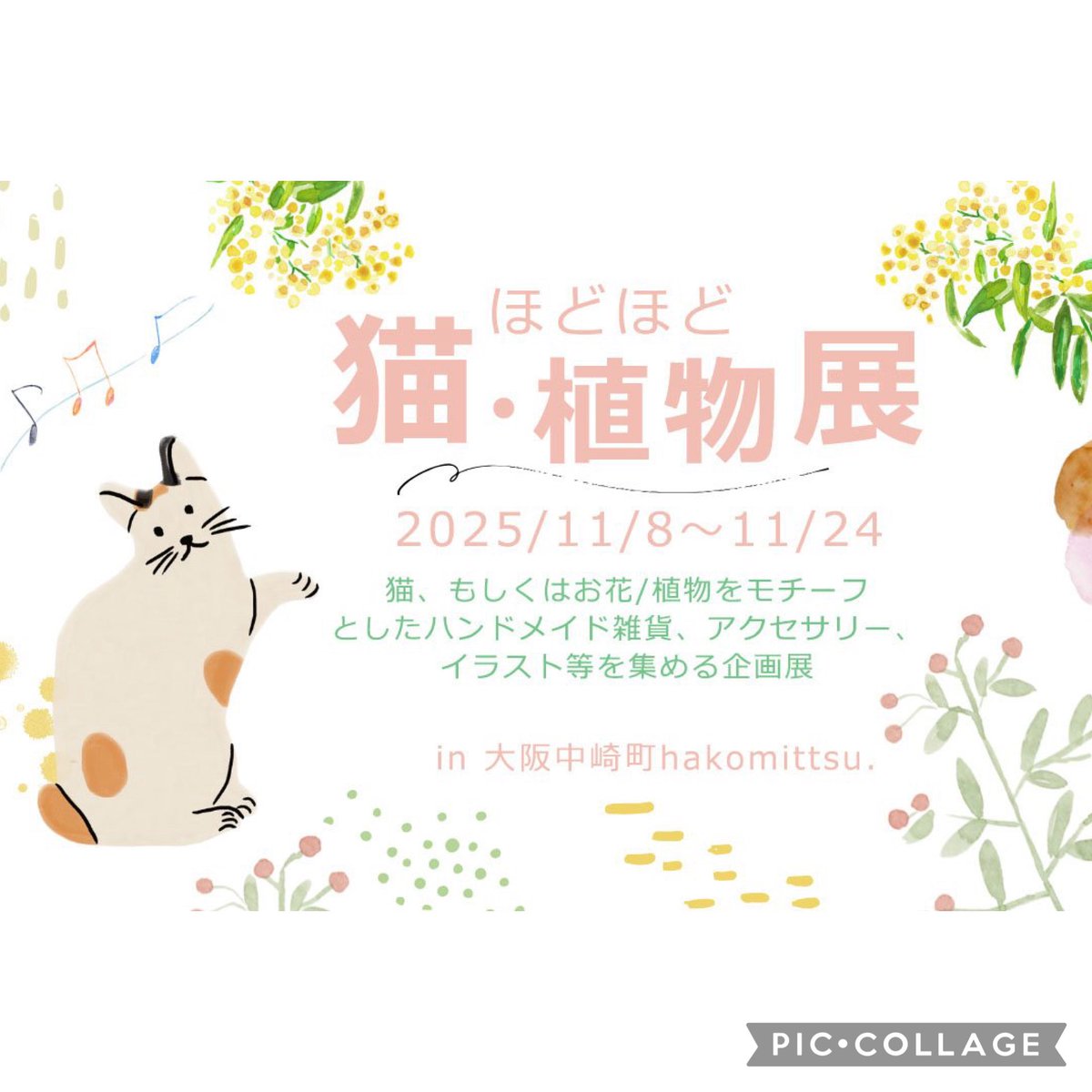 一重梅＊香嶌一伽 on X