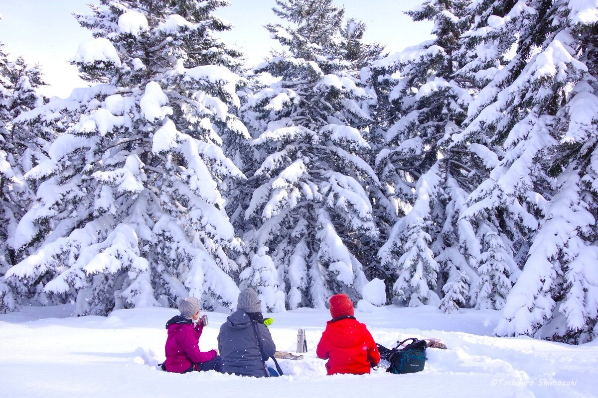 polaris_guides's tweet image. 【ウインターシーズンに向けて⛄】

WEBサイトを冬のプログラムに入れ替えました。場所によっては12月の中旬頃から #スノーシュー でご案内できます☺

冬の #宗谷 は寒く厳しいですが #最北 の #自然 の美しさが感じられますのでオススメです。冬の宗谷でお待ちしております✨

#豊富町 #稚内市 #稚内