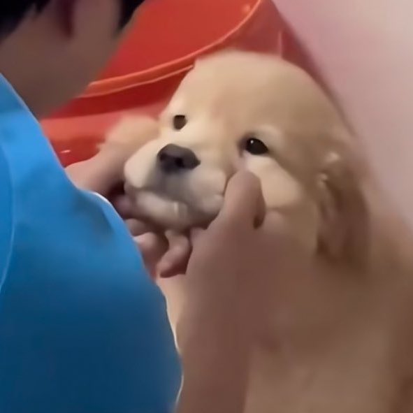 มาให้บีบเลย ไอม๋าอ้วม