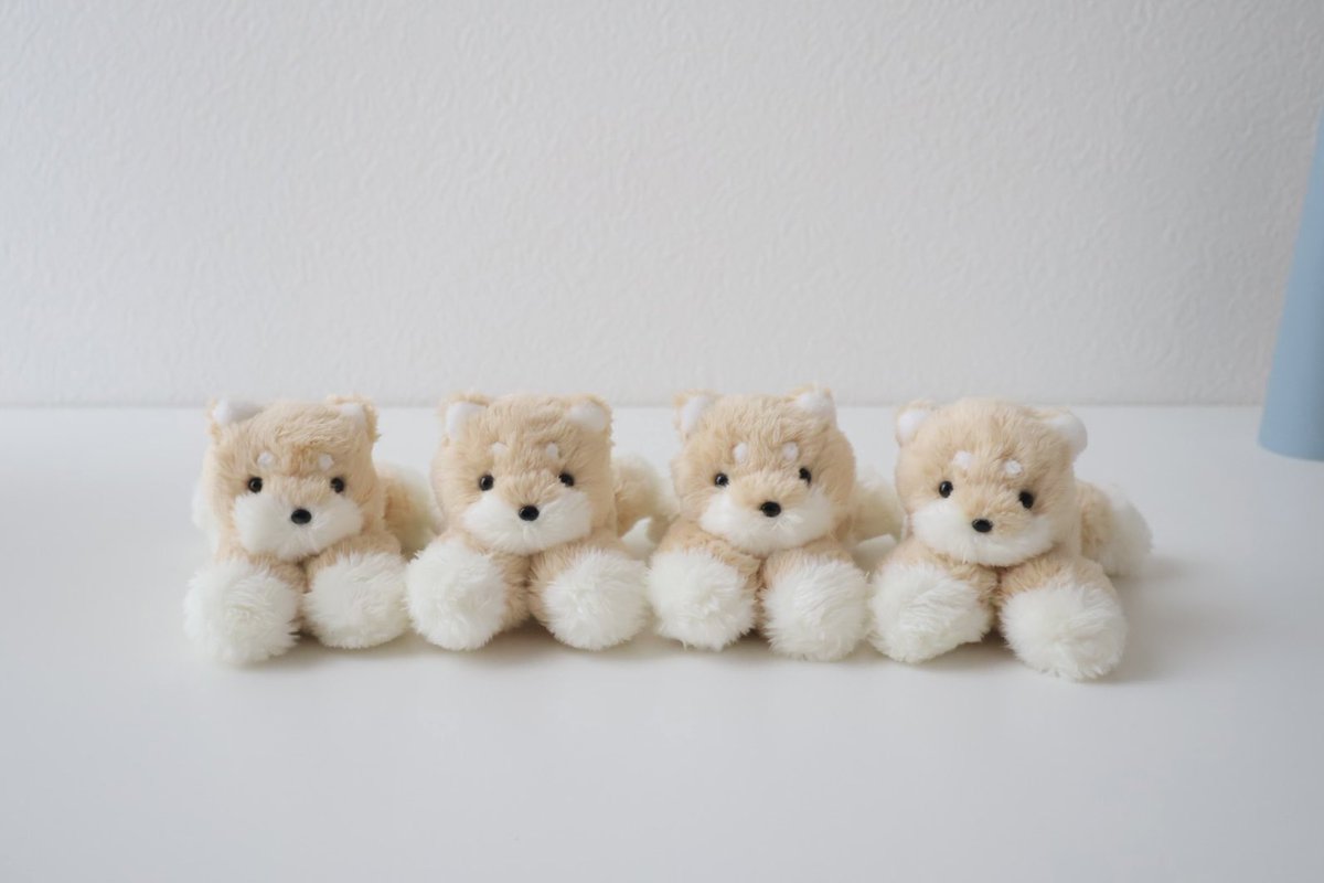 shiroi maru -しろい まる-❄️ぽんぽんとぬいぐるみ (@shiroi_maruii