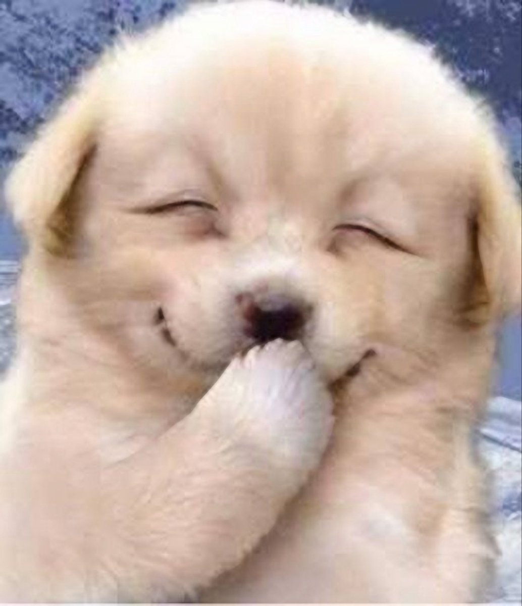 gqwtarr's tweet image. โน่หนิ