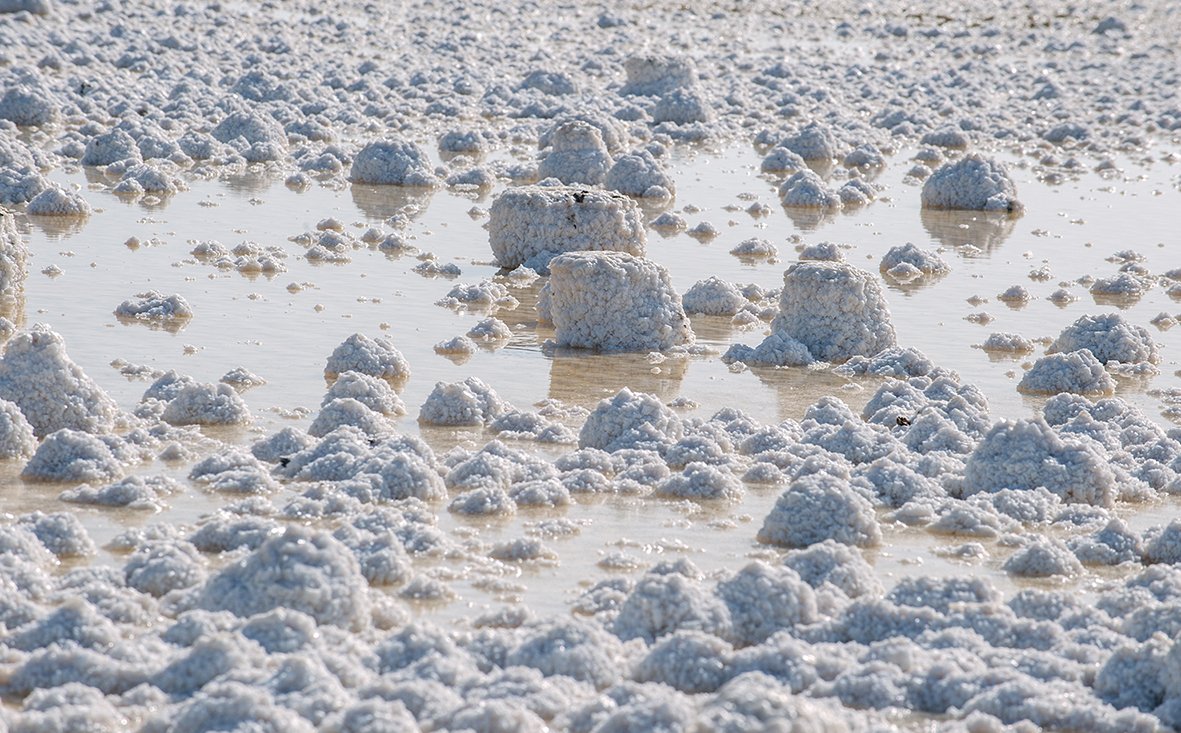 Esto no es el Ártico, esto es Cádiz, Andalucía, concretamente, nuestras salinas de Grupo Asal. Sencillamente espectacular ✨

#SalMarina #GrupoAsal
