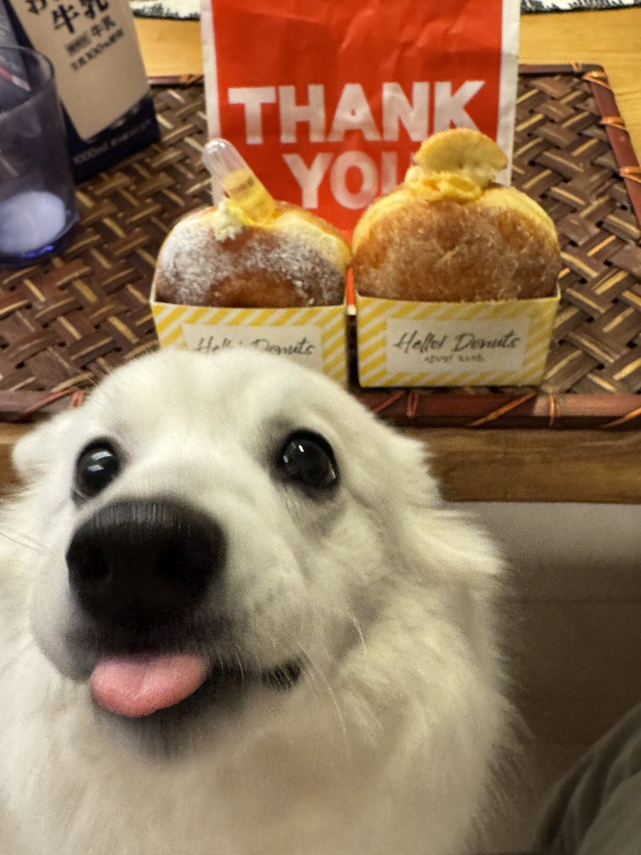 zknc_'s tweet image. 