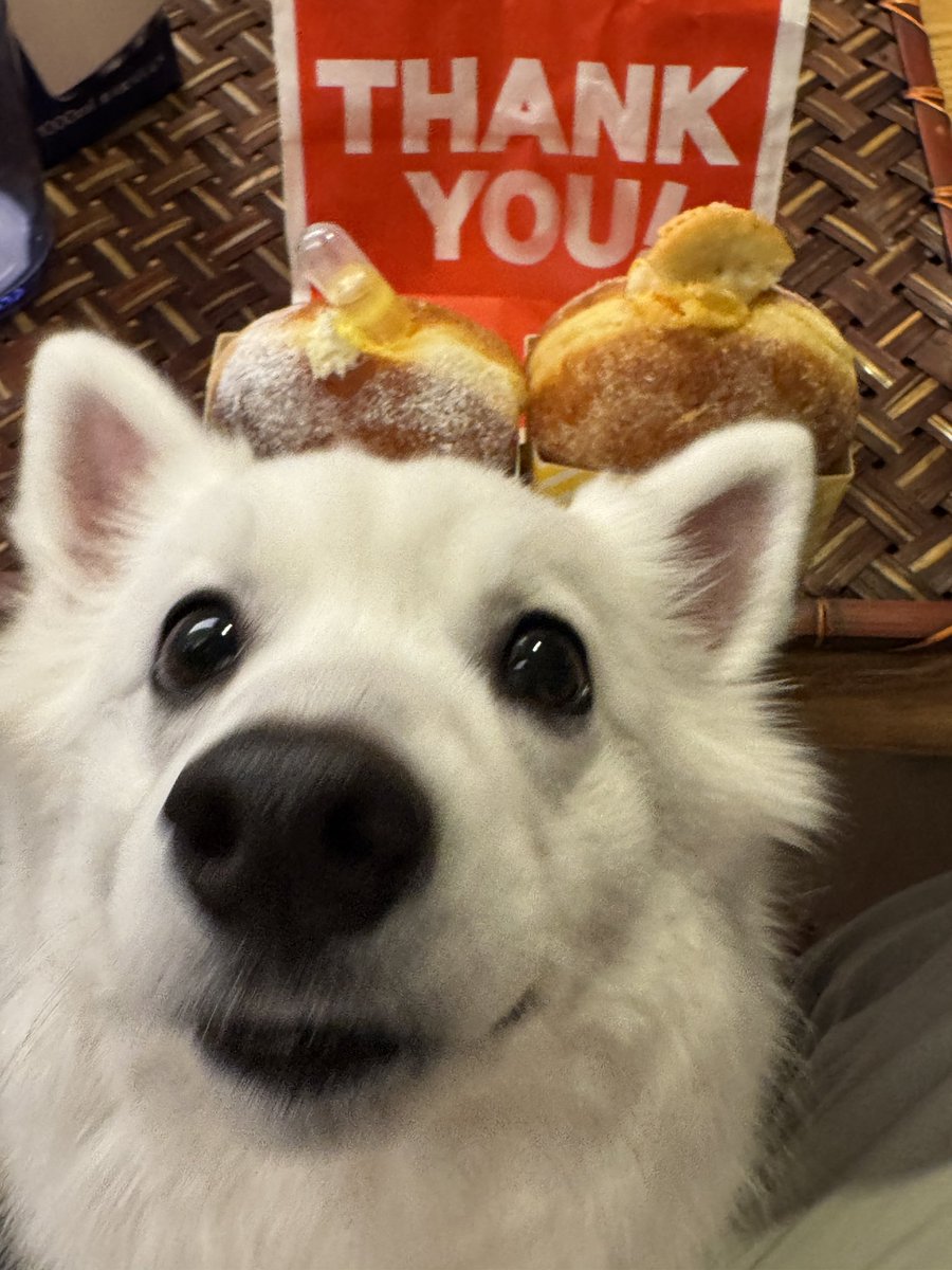 zknc_'s tweet image. 