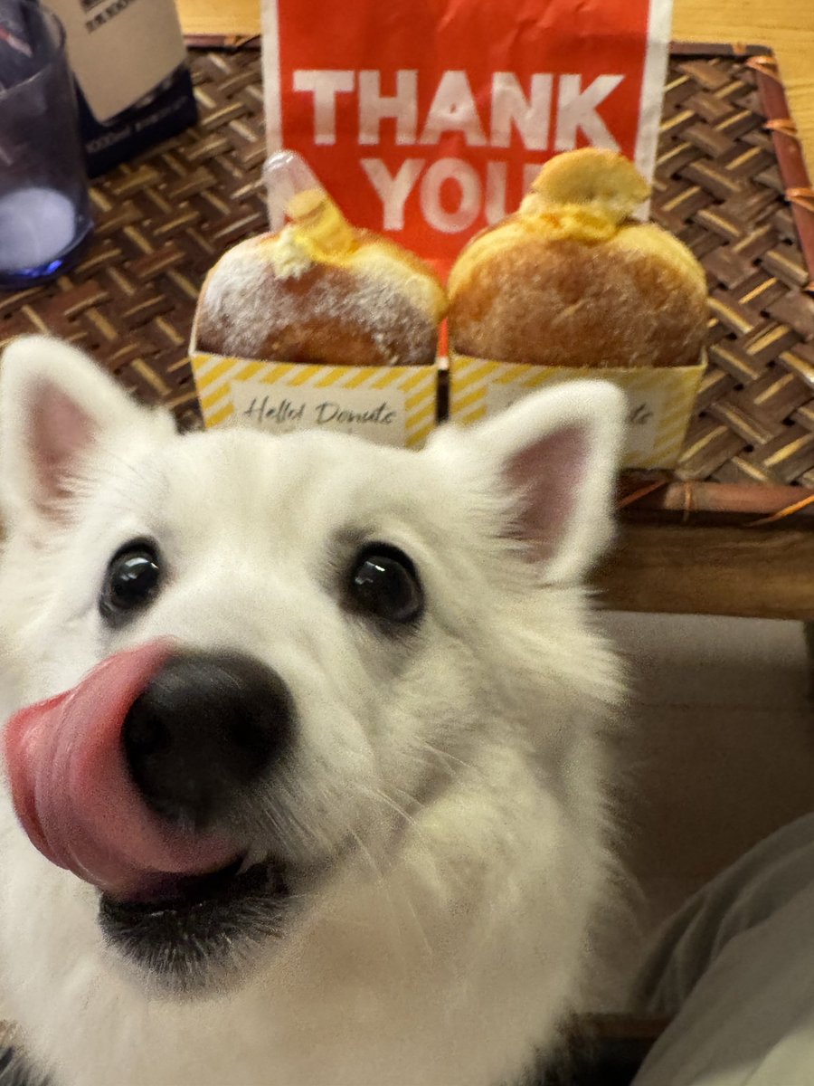 zknc_'s tweet image. 