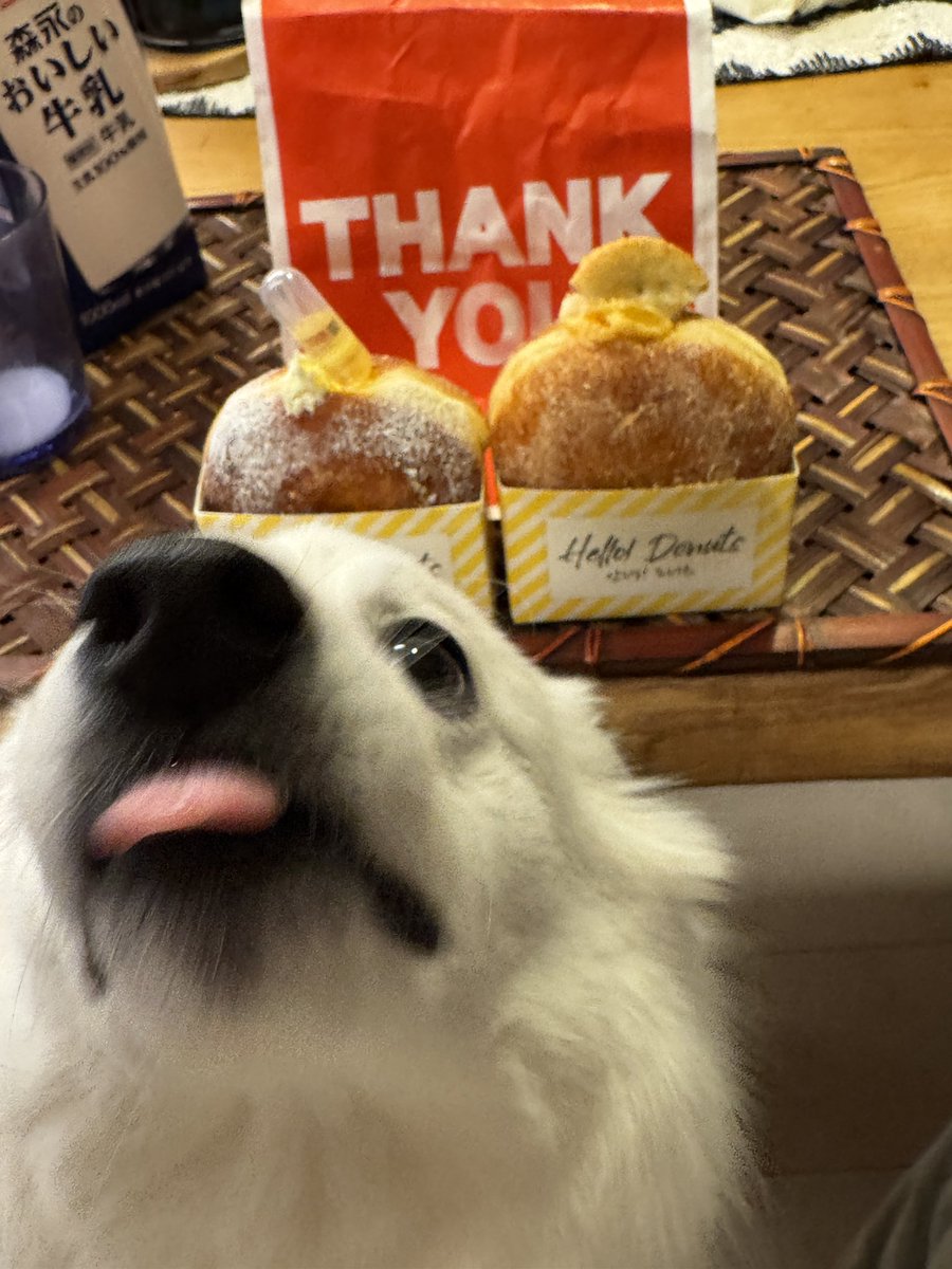 zknc_'s tweet image. 