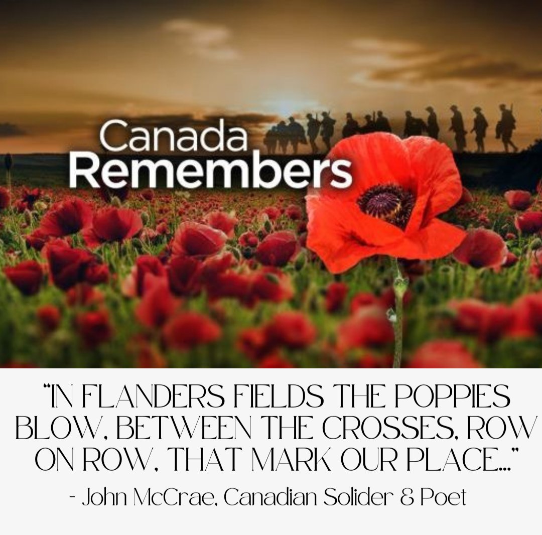 Dr. Mary Ann Campbell 🍁 🇨🇦 tweet media