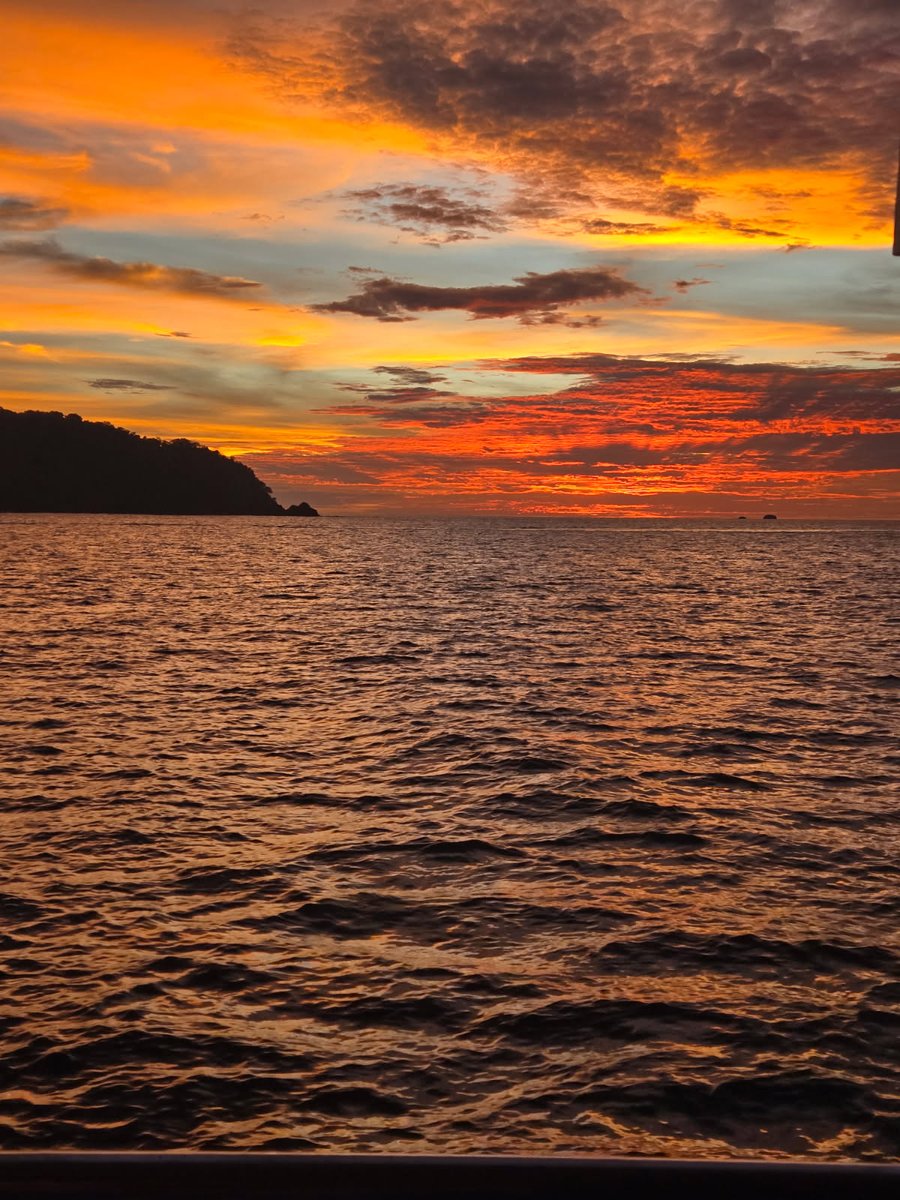 __ParadiseEarth's tweet photo. Golden skies fading into the Pacific last night 🌅 - the kind of sunset that makes you stop mid-sentence and just breathe. Playa Flamingo, Costa Rica… you never disappoint. #CostaRica #SunsetMagic https://t.co/TTJb7R8ndC
