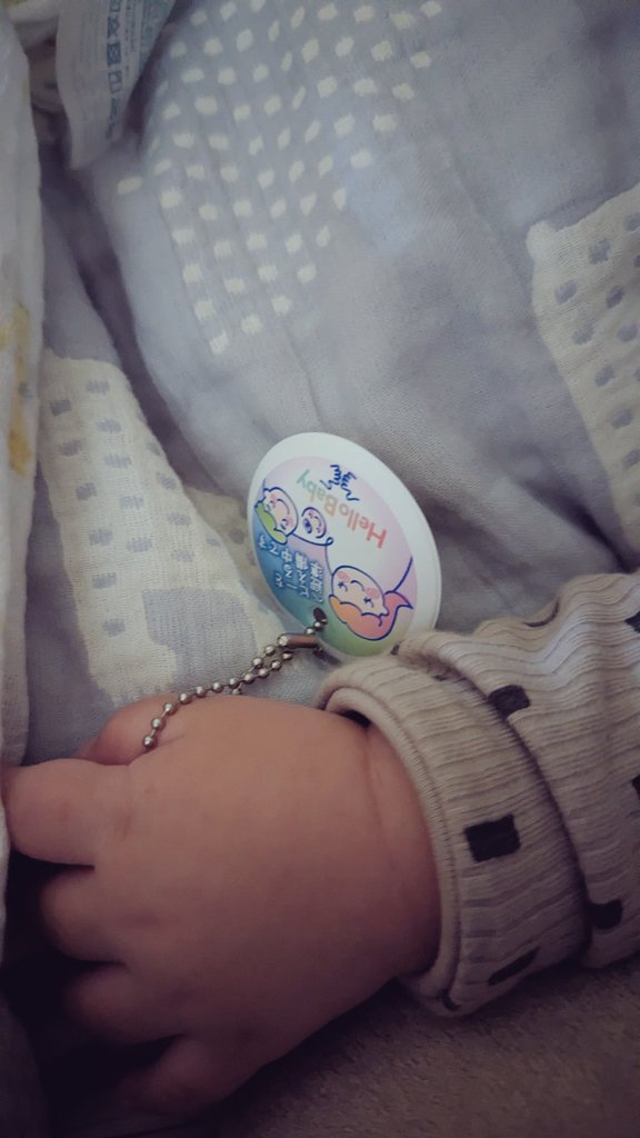 産前にベビザらスで貰った『ベビーを迎える準備中』キーホルダーが出てきた。
ちみすけにあげたら、嬉しそうにずっと持ち運んでて、今も大事に持ったまま寝ています。
意味はわからないだろうけど、あなたが来るのを待ってたんだよー
その時の気持ちを思い出しました。
もうすぐ1年。