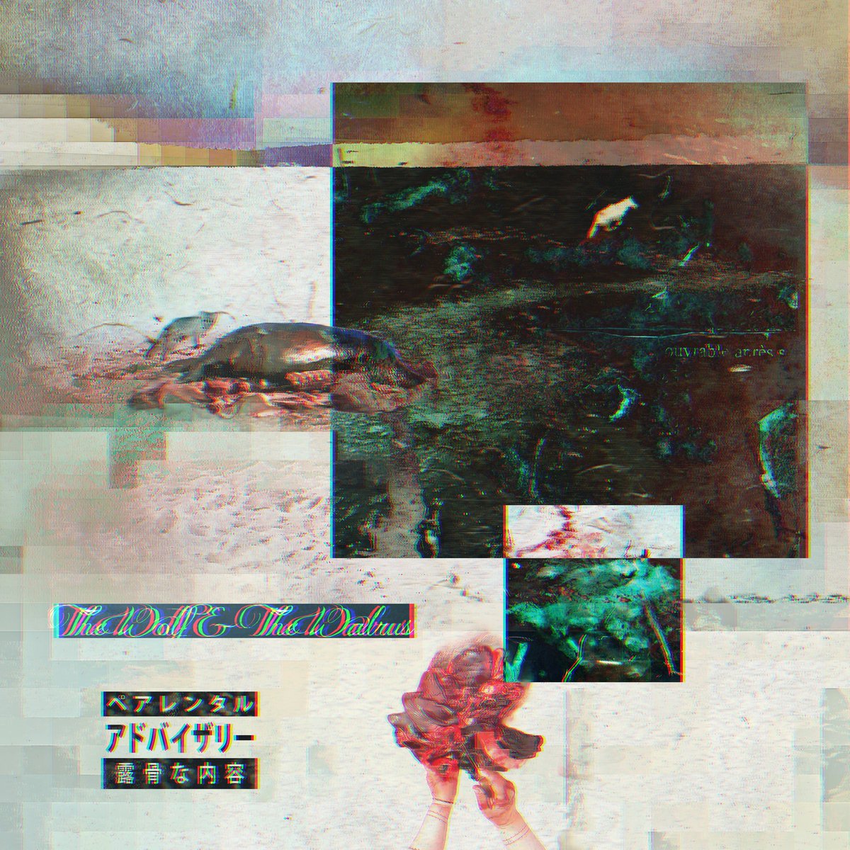 Teller Bank$ /🏝️🏝️🏝️/ Marion Wood$ tweet media
