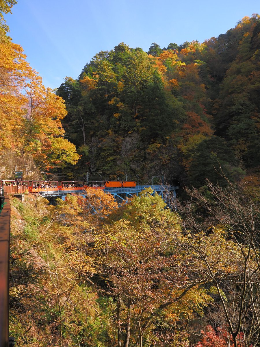 presso_g7's tweet image. 2025.11.08 
黒部峡谷 黒薙の紅葉

能登半島地震の影響で途中の猫又駅が現在の終点となっている黒部峡谷鉄道。
猫又での滞在時間は20分と短いため、時間制限の無い黒薙でゆっくりと紅葉を楽しんでました。
#紅葉 #黒部峡谷 #黒薙 #後曳橋 #黒部峡谷鉄道 #黒部市 #富山県 #OMSYSTEM #OM1