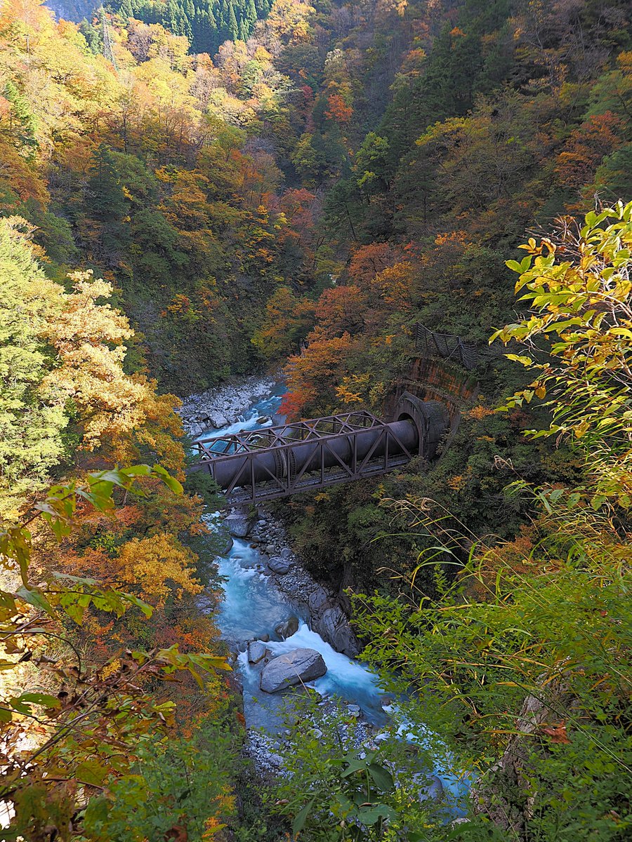 presso_g7's tweet image. 2025.11.08 
黒部峡谷 黒薙の紅葉

能登半島地震の影響で途中の猫又駅が現在の終点となっている黒部峡谷鉄道。
猫又での滞在時間は20分と短いため、時間制限の無い黒薙でゆっくりと紅葉を楽しんでました。
#紅葉 #黒部峡谷 #黒薙 #後曳橋 #黒部峡谷鉄道 #黒部市 #富山県 #OMSYSTEM #OM1