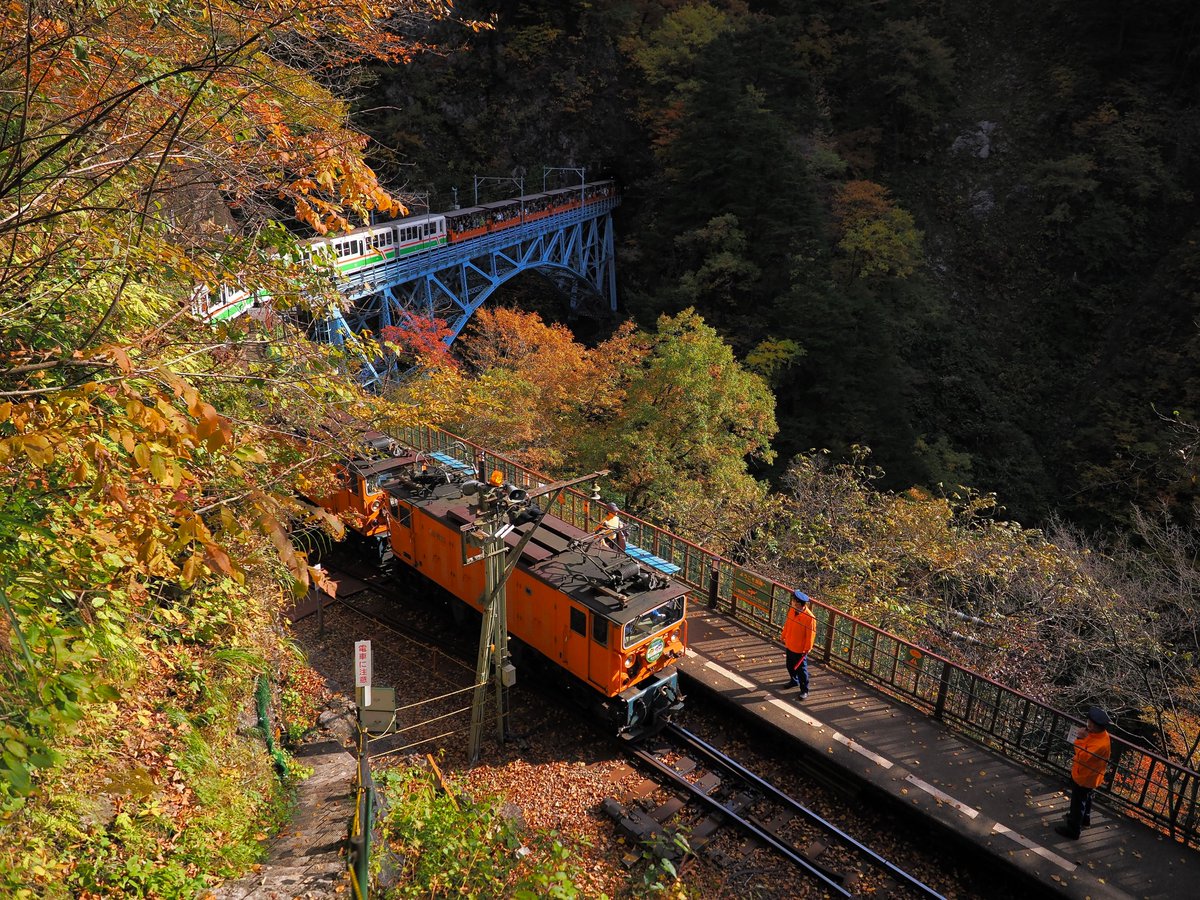 presso_g7's tweet image. 2025.11.08 
黒部峡谷 黒薙の紅葉

能登半島地震の影響で途中の猫又駅が現在の終点となっている黒部峡谷鉄道。
猫又での滞在時間は20分と短いため、時間制限の無い黒薙でゆっくりと紅葉を楽しんでました。
#紅葉 #黒部峡谷 #黒薙 #後曳橋 #黒部峡谷鉄道 #黒部市 #富山県 #OMSYSTEM #OM1