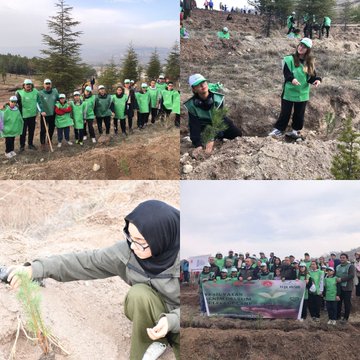 Four collage images depict a tree-planting event on a hilly, forested landscape under cloudy skies. Groups of people including adults, children, and officials wear green vests and hats while holding shovels and saplings. Participants dig holes, plant young trees, and pose together. Banners in Turkish read Yeşil Vatan Seferberliği and 11 Kasım Milli Ağaçlandırma Günü. Some individuals wear headscarves and casual clothing suitable for outdoor activity.